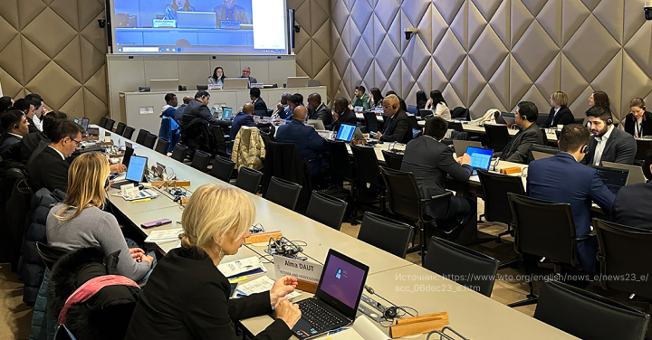 World Trade Organization (WTO)